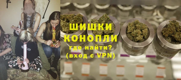 прущие крисы Новозыбков