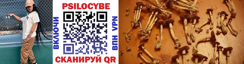omg вход  Кимовск  Галлюциногенные грибы GOLDEN TEACHER 