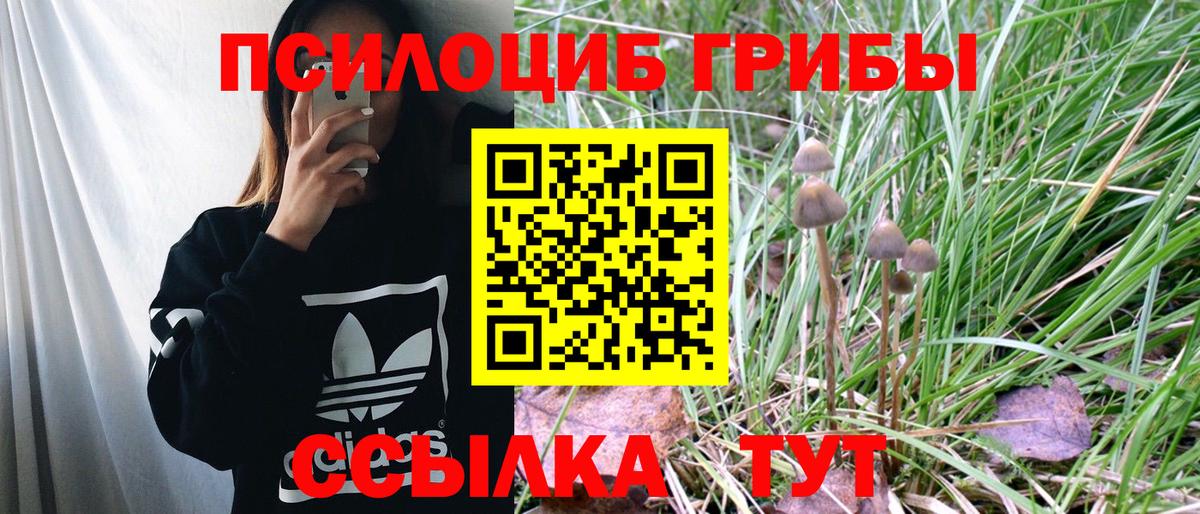Псилоцибиновые грибы Cubensis Кимовск