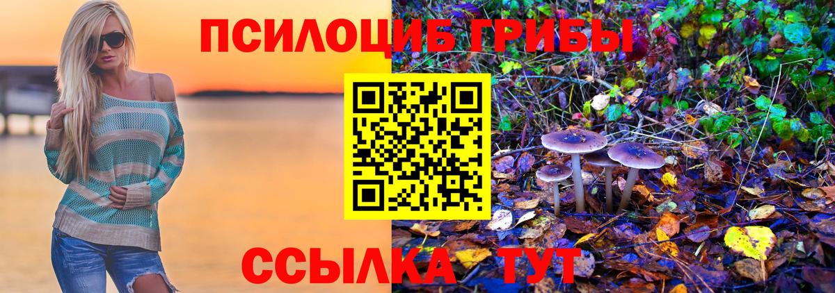 Галлюциногенные грибы мицелий  Псилоцибиновые грибы мицелий  Кимовск  Вход с VPN 
